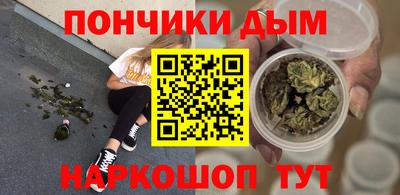 шишки Тара