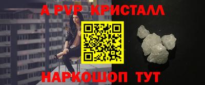 шишки Тара