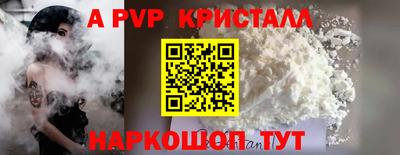 шишки Тара