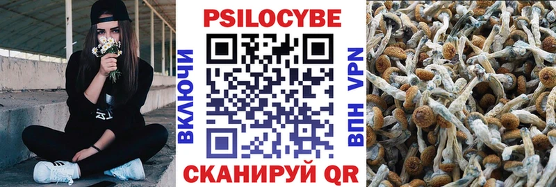 Галлюциногенные грибы Psilocybe  Старый Оскол 