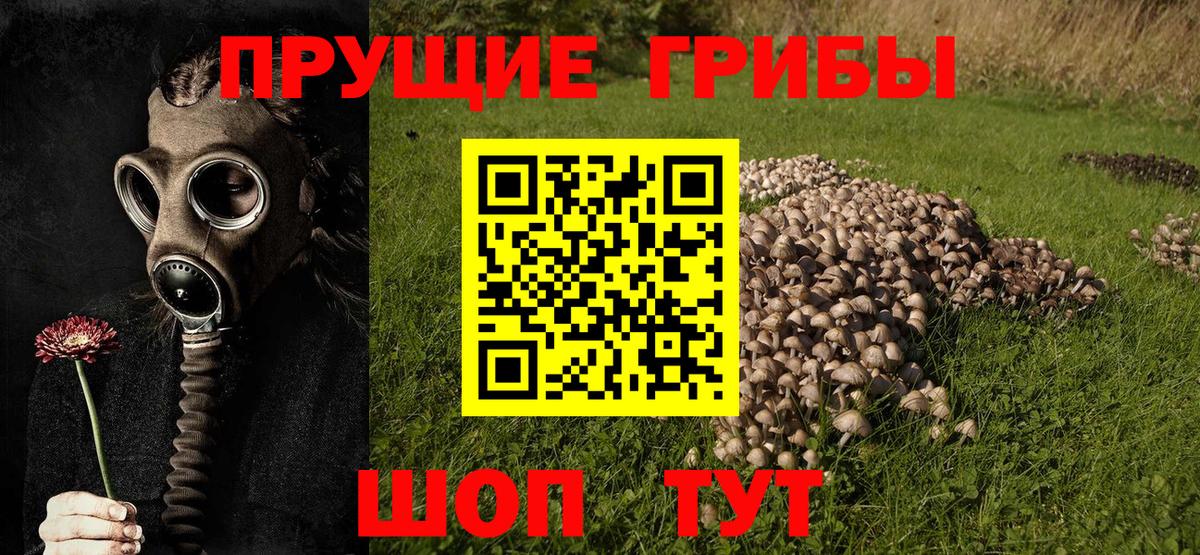 Псилоцибиновые грибы ЛСД Старый Оскол