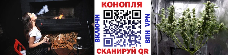 Марихуана конопля  как найти закладки  Старый Оскол 